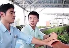 Asian movie sex scenes, asian bodybuilder, gay asian      p trai